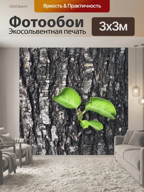Фотообои Росток