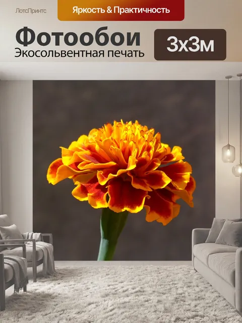 Фотообои Гвоздика