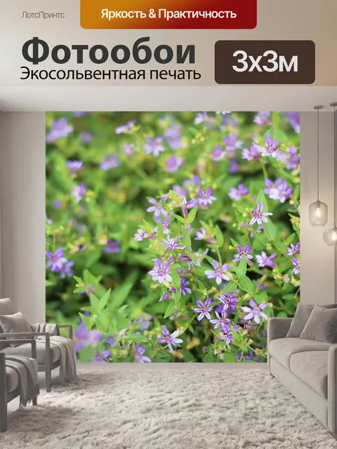 Фотообои Цветок