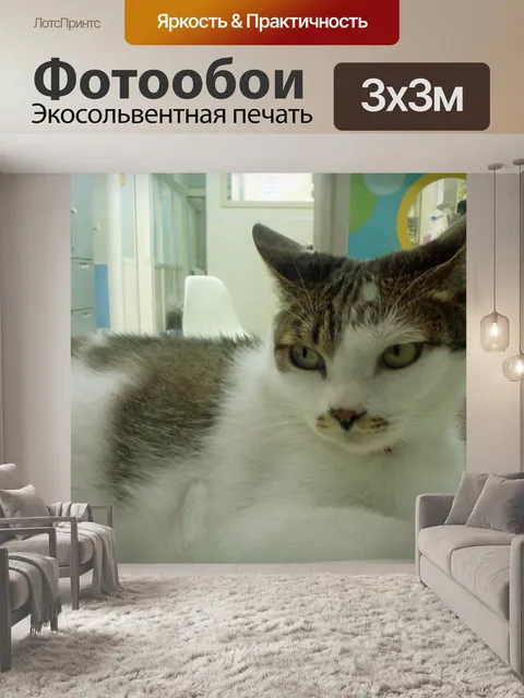 Фотообои кот в город 3