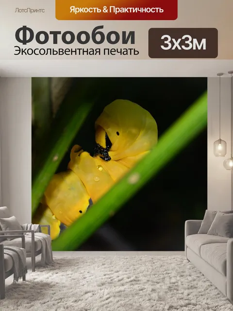 Фотообои Смерть-руководитель