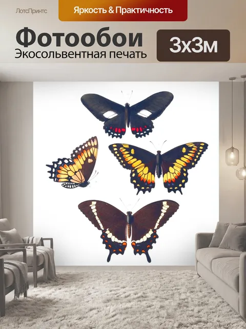 Фотообои Винтажная иллюстрация бабочки
