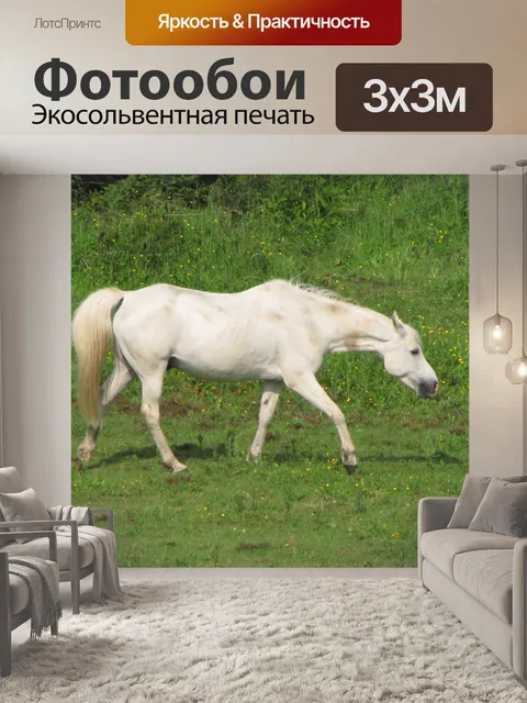 Фотообои Белые лошади ходьба