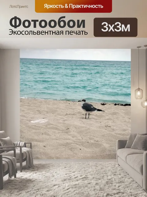 Фотообои чайка