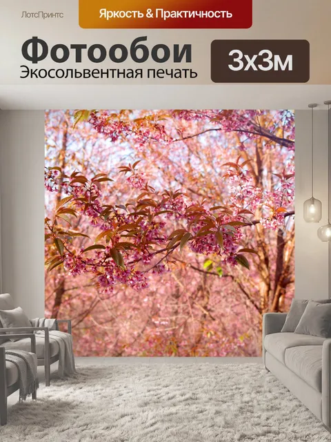 Фотообои Prunus cerasoides, дикая гималайская виш