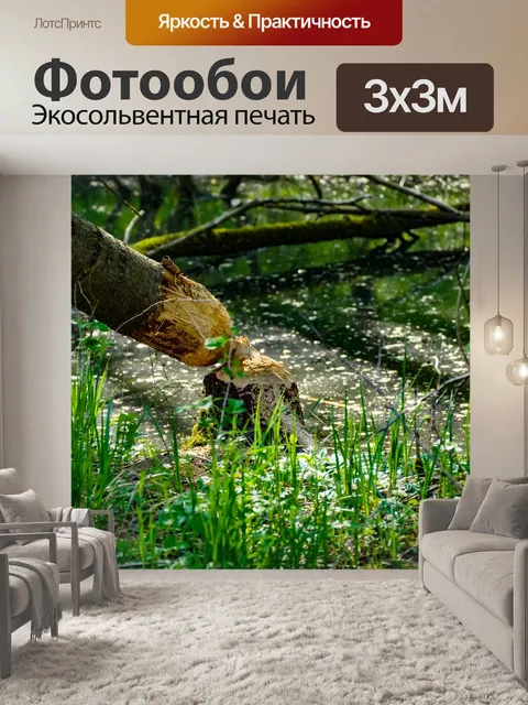 Фотообои Дерево