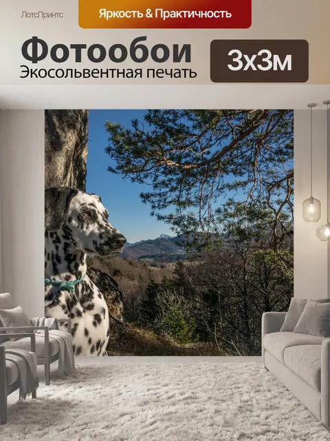 Фотообои Далматинец