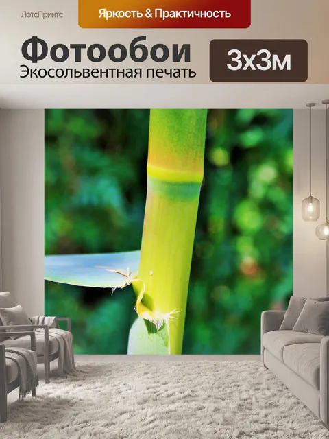 Фотообои тростника в саду