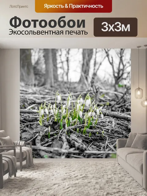 Фотообои Цветы