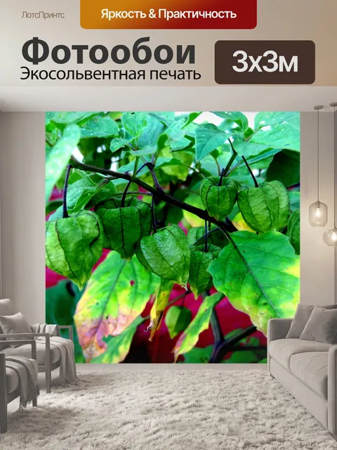 Фотообои Наземные Вишня Фонари завод