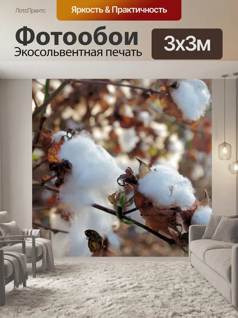 Фотообои Хлопок на хлопковых полях