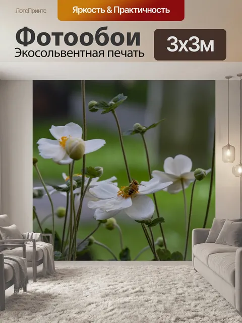 Фотообои Матилия Мак Макро