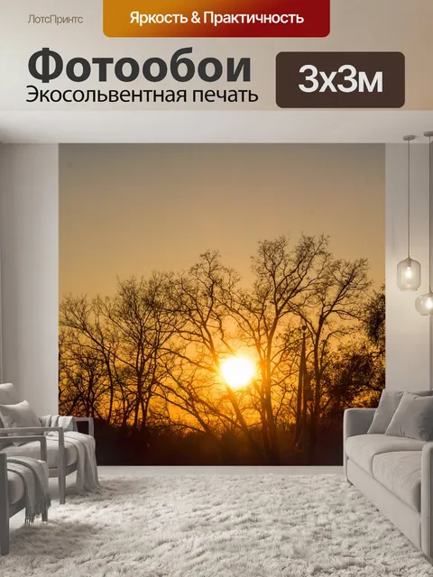 Фотообои Восход