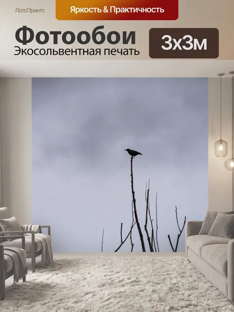 Фотообои силуэт птицы
