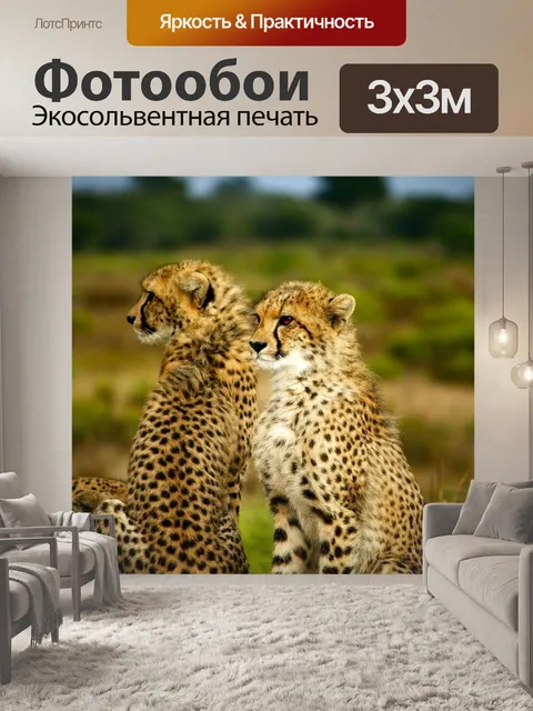 Фотообои Гепарды
