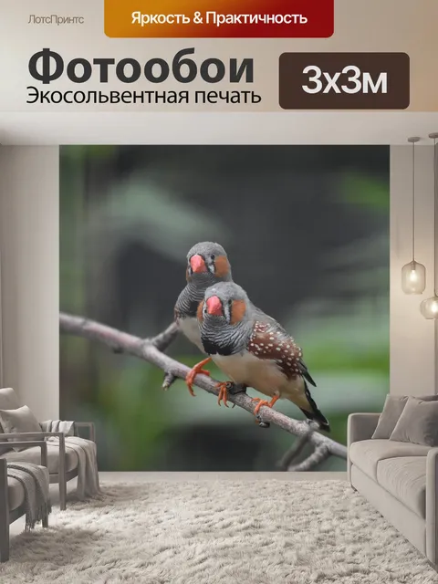 Фотообои Два