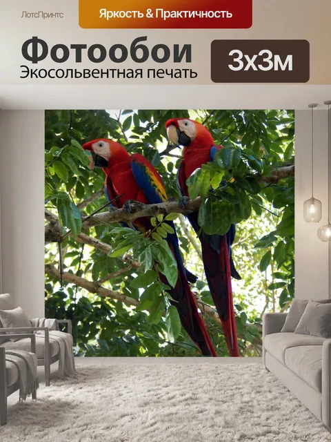 Фотообои Скарлет ара