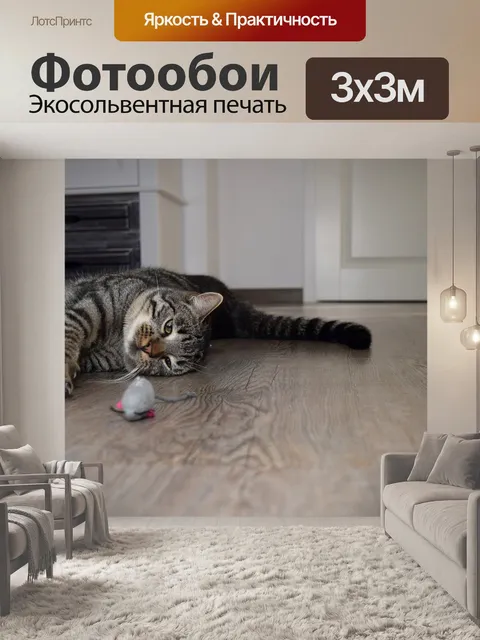 Фотообои Кот