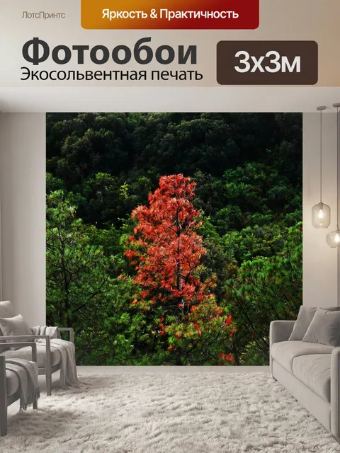 Фотообои Дерево