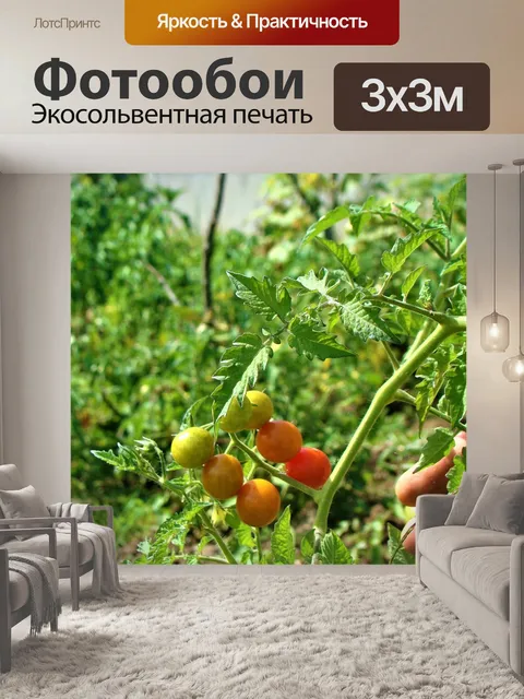 Фотообои Трава