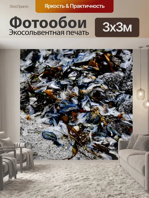 Фотообои Velella мусора