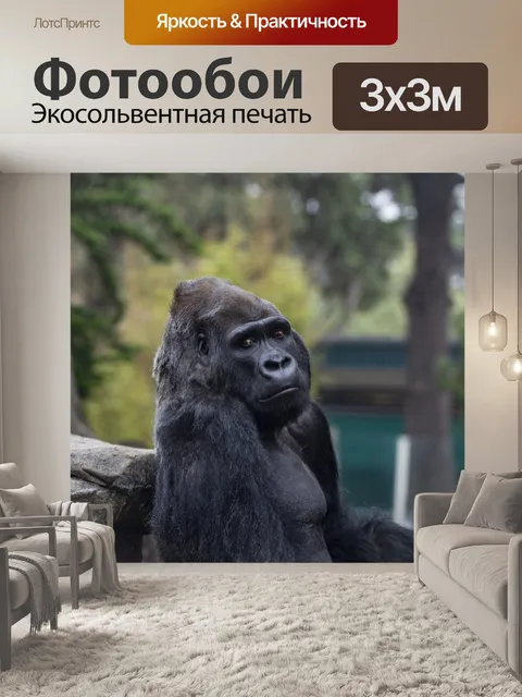 Фотообои горилла
