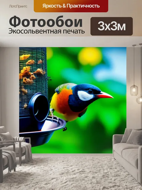 Фотообои кофе с щебетом птиц на заднем дворе