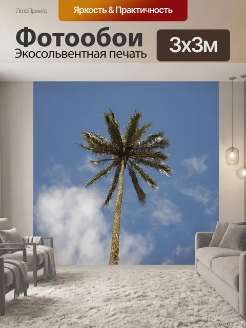 Фотообои Пальма