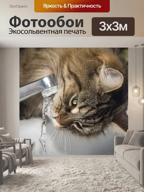 Фотообои Кот