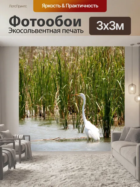 Фотообои Великая белая цапля в тростниках