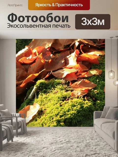 Фотообои Падение