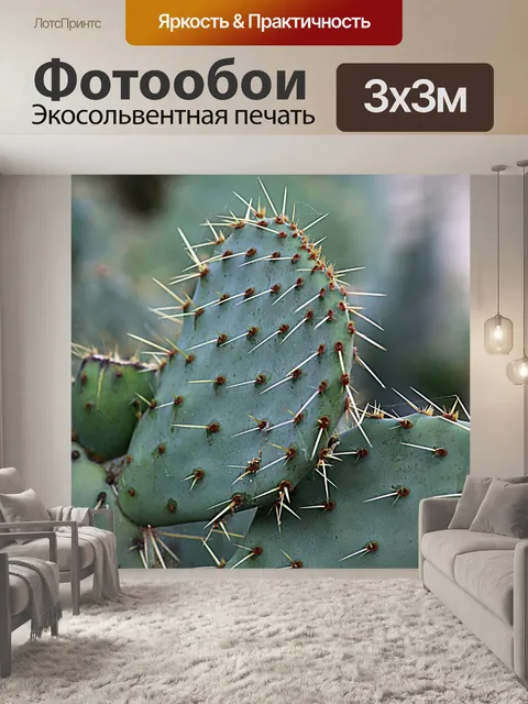 Фотообои Инжир