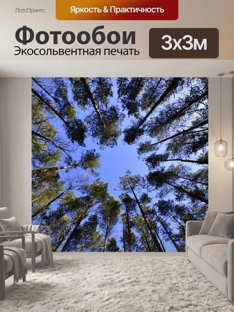 Фотообои Небо, лес, зелень, зеленый