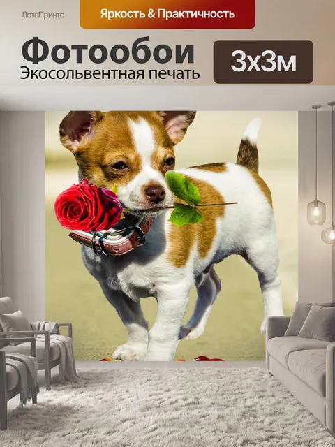 Фотообои Собака