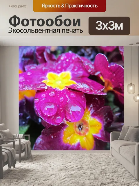 Фотообои Первоцвет