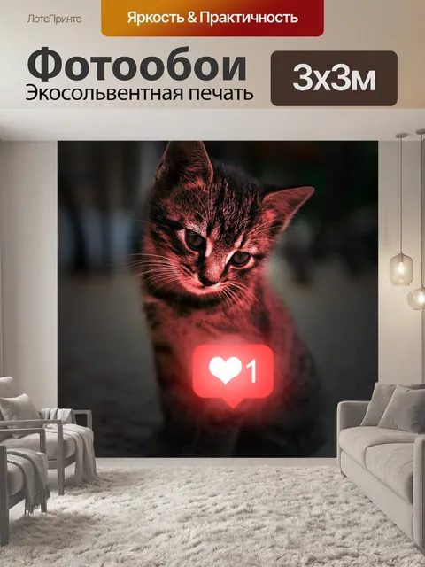 Фотообои Кошка