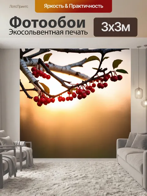 Фотообои береза на фоне заката