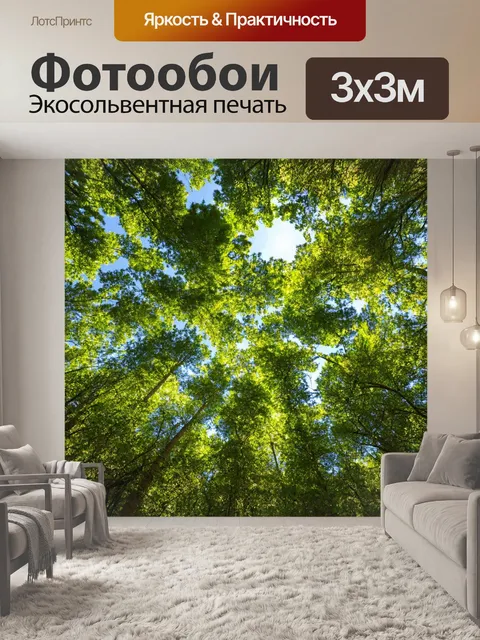 Фотообои лес с днем, полным радости,ulho что небо прозрачное и чистое