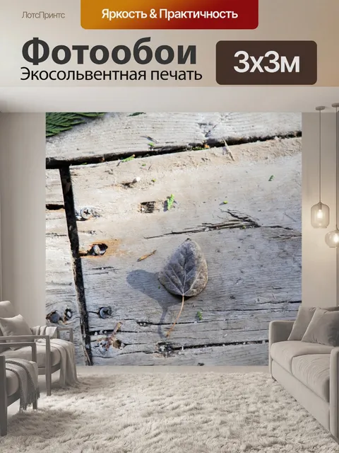Фотообои Минималистичный характер