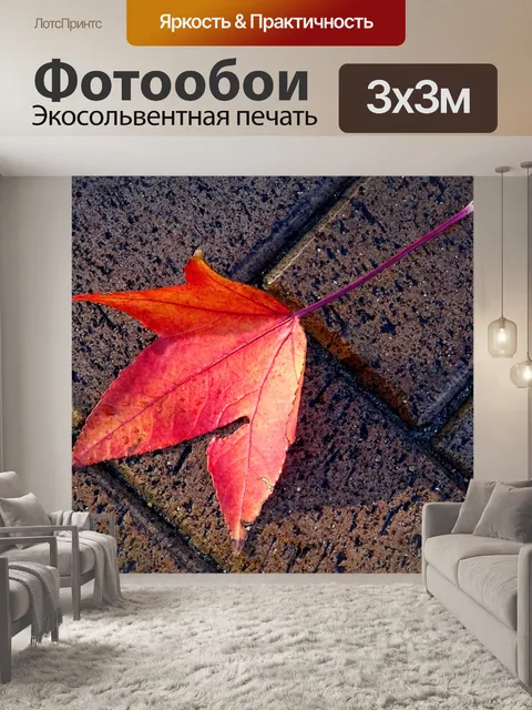Фотообои Падший осенний осенний лист