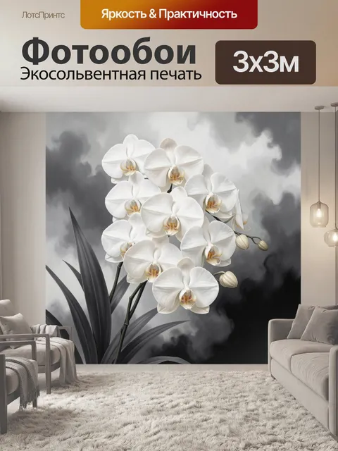 Фотообои Белые орхидеи на темном фоне