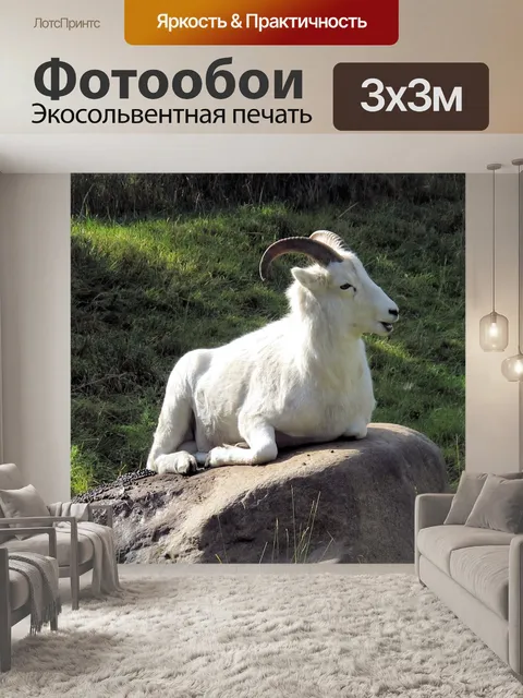 Фотообои Снежный баран