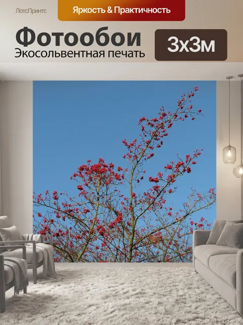 Фотообои Ягода