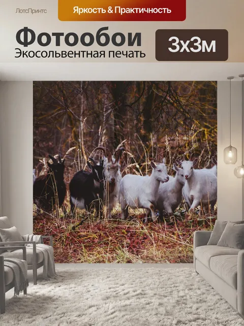 Фотообои Козы