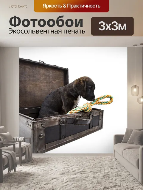Фотообои Щенок с чемоданом