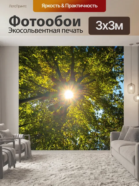 Фотообои солнце, светящее сквозь листву деревьев
