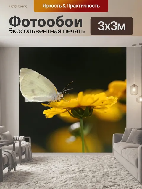 Фотообои Животное
