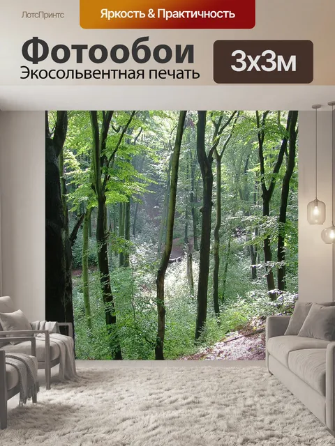 Фотообои Дрезден