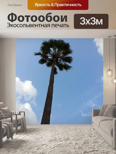 Фотообои Кокосовой пальмы и небо