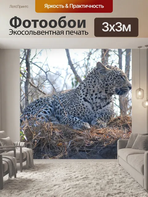 Фотообои Леопард